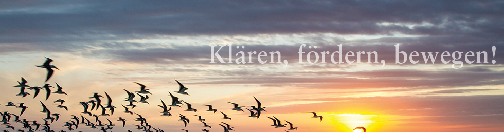 Klären,fördern, bewegen!